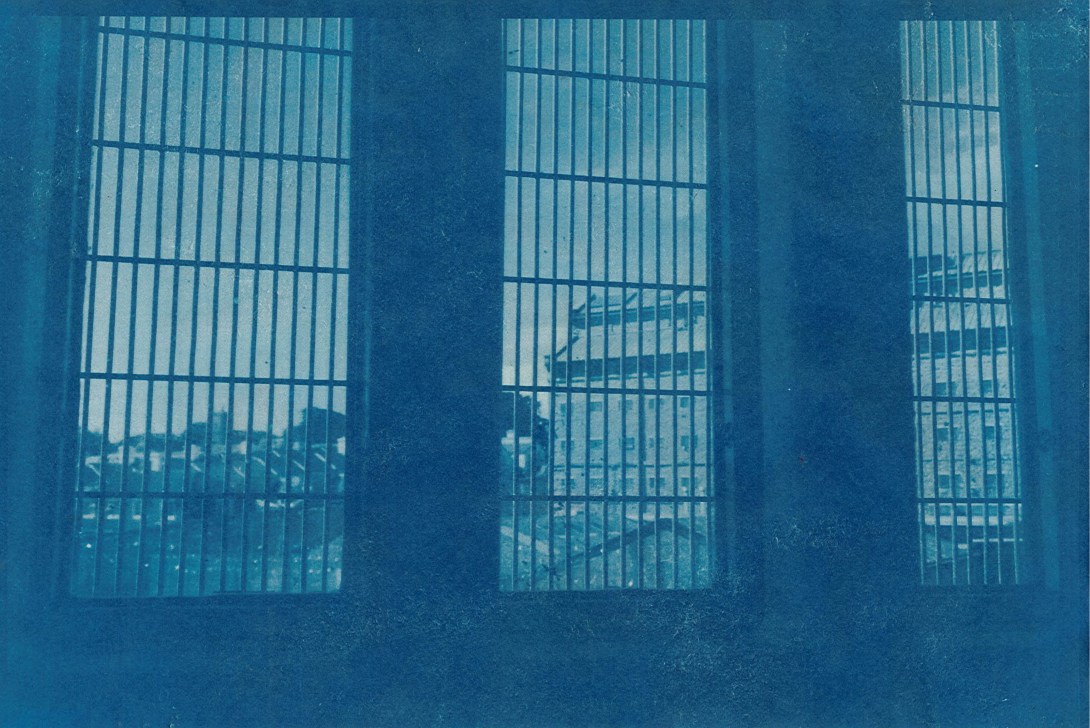 cyanotype_03_lr
