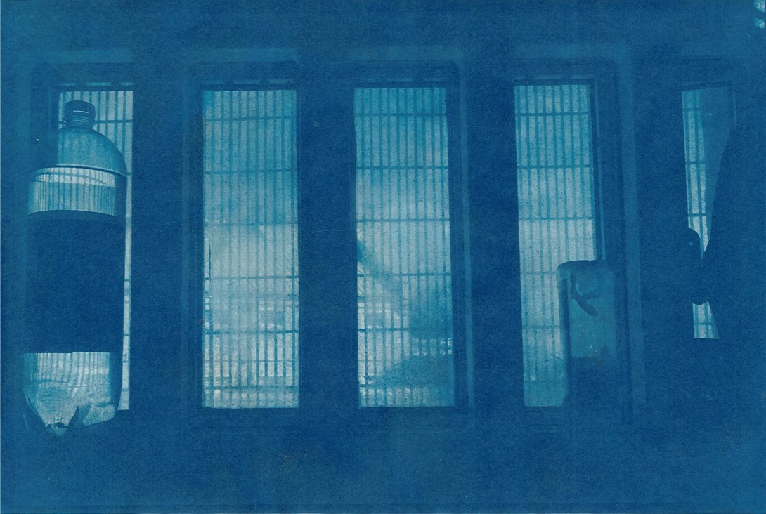 cyanotype_05_lr